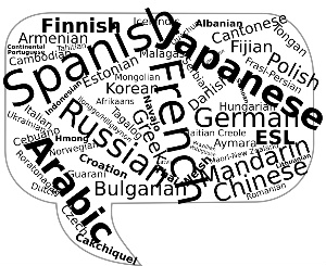 Professional Translation - Languages In Speech Bubble