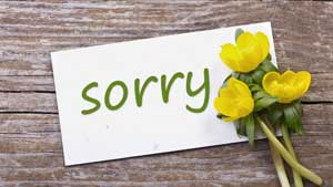 Contronym Examples - Card Saying Sorry Next To Yellow Flowers