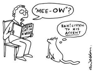 Multilingual SEO - Man learning cat accent