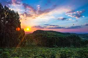 Brazilian Life Science Industry - Brazilian Landscape