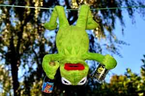 Old English Words - Kermit the frog holding two alcohol bottles, hanging from clothesline