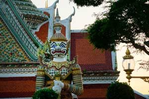 translating Thai for business