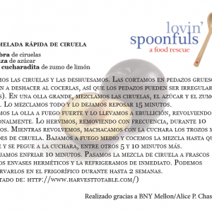 Recipes Translation - Plum Spanish