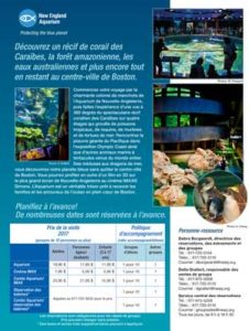 French Brochure Translation - new England Aquarium Brochure Page 1