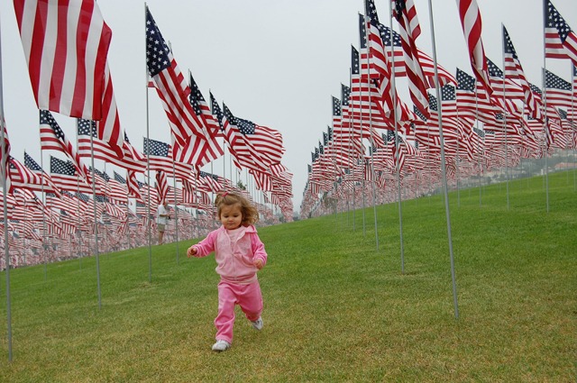 veterans day celebration picture