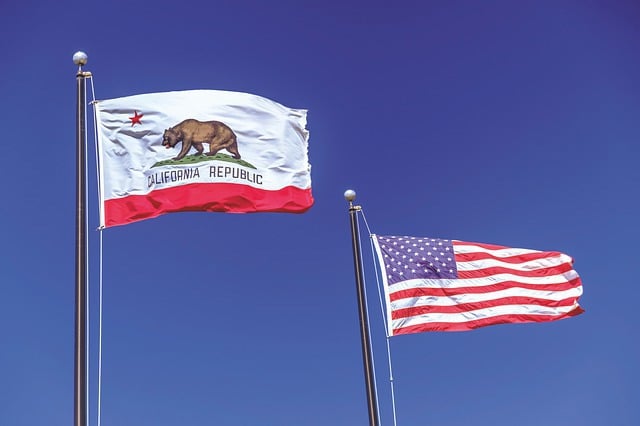 Video remote interpreting for the state of California
