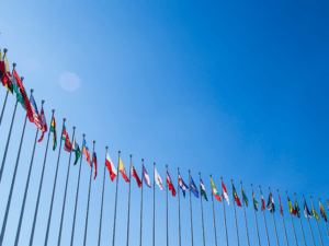 3 Key Translation Needs for International Development Organizations
