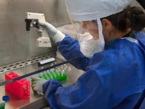 The Importance of Public Health Localization in a Globalized World