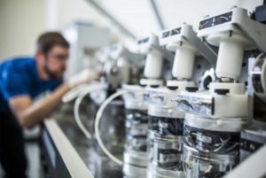 clinical trial translation