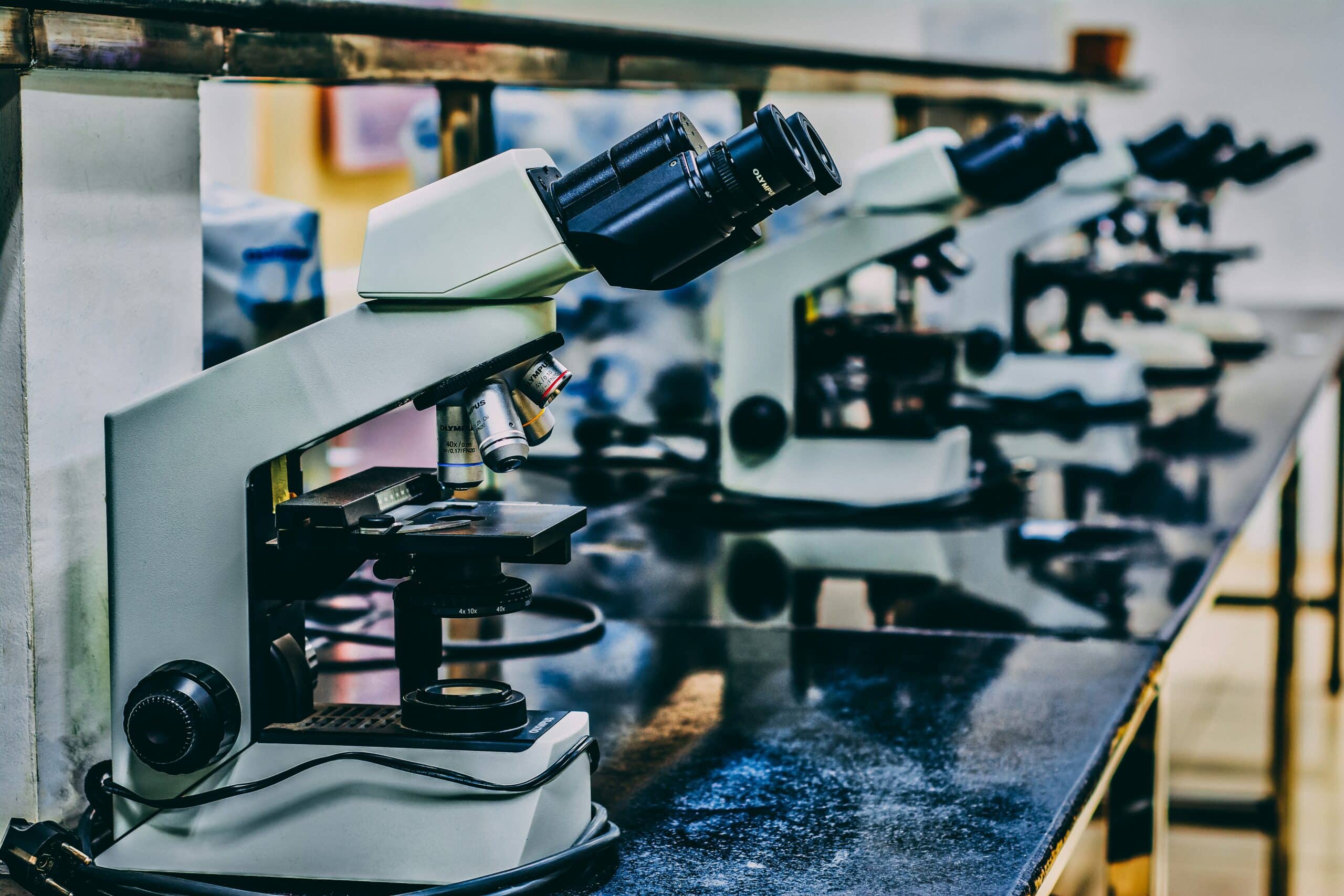 How eLearning Course Translation Enhances Knowledge Transfer in the Life Sciences Industry