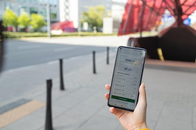 How Klarna Became a Fintech Giant Through Swedish Localization